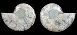 Polished Ammonite Pair - Agatized #54308-1